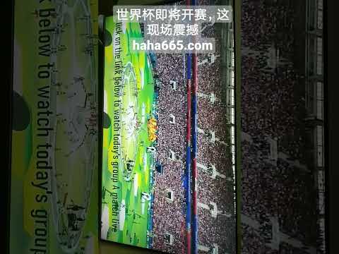 巴雷特谈与,奎克利,巴恩斯上赛,爱游戏app,爱游戏官网,爱游戏体育官网,爱游戏体育app